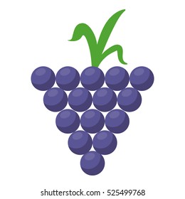 grape grown organic fruit nature