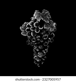 vector de dibujo de mano de uva aislado en fondo negro.