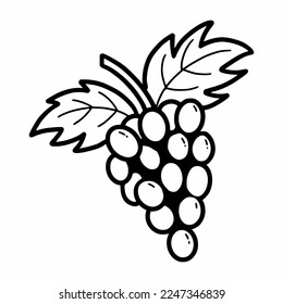 Grape. Hand drawn black and white sketch. Vector doodle illustration. 