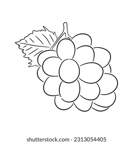 Grape. Hand drawn outline doodle icon. Transparent isolated on white background. Vector illustration.