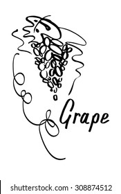 Grape hand drawn sketch , vector illustration 