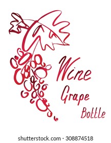 Grape hand drawn sketch , vector illustration 