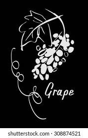 Grape hand drawn sketch , vector illustration 