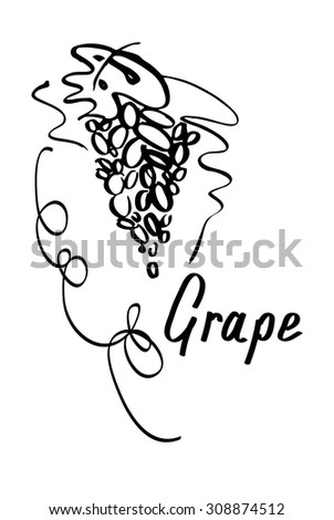 Grape hand drawn sketch , vector illustration 