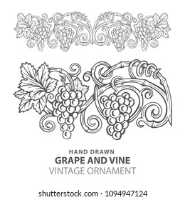 
Grape. Hand drawn grape and vine engraving style illustration. 
Bunch of grapes vector design element. Grape and vine logo and ornament.