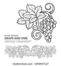 
Grape. Hand drawn grape and vine engraving style illustration. 
Bunch of grapes vector design element. Grape and vine logo and ornament.