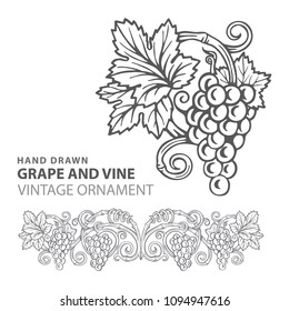 Grape. Hand drawn grape and vine engraving style illustration. 
Bunch of grapes vector design element. Grape and vine logo and ornament.