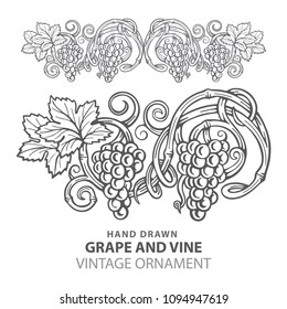 Grape. Hand drawn grape and vine engraving style illustration. 
Bunch of grapes vector design element. Grape and vine logo and ornament.