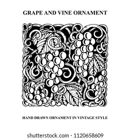 Grape. Hand drawn grape and vine engraving style illustration. Bunch of grapes vector design element. 