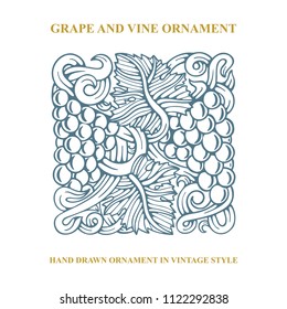 Grape. Hand drawn grape and vine engraving style illustration. Bunch of grapes vector design element. Grape and vine  background. Wine theme grape and vine vintage style ornament. 