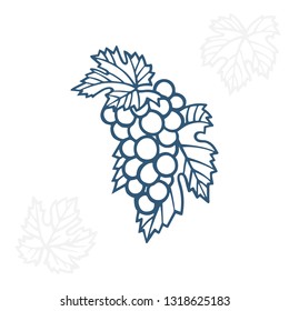 Grape. Hand drawn grape and vine engraving style illustration. Bunch of grapes vector design element. Grape and vine logo and ornament. Part of set.