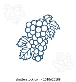 Grape. Hand drawn grape and vine engraving style illustration. Bunch of grapes vector design element. Grape and vine logo and ornament. Part of set.