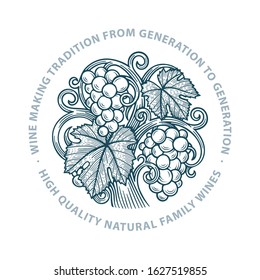 Grape. Hand drawn grape and vine engraving style illustration. Bunch of grapes vector design element. Grape and vine logo and background. Wine theme grape and vine vintage style ornament.