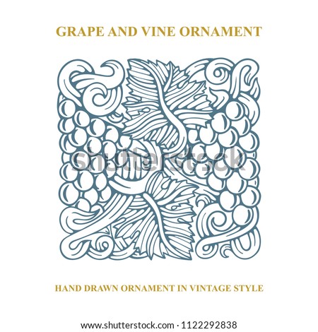 Grape. Hand drawn grape and vine engraving style illustration. Bunch of grapes vector design element. Grape and vine  background. Wine theme grape and vine vintage style ornament. 