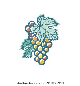 Grape. Hand drawn grape and vine stylized illustration. Bunch of grapes vector design element. Grape and vine logo and ornament. Part of set.