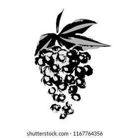Grape. Hand Sketched Illustration. Vector Template.