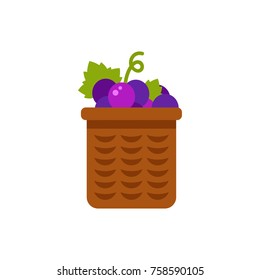 Grape harvest in basket icon