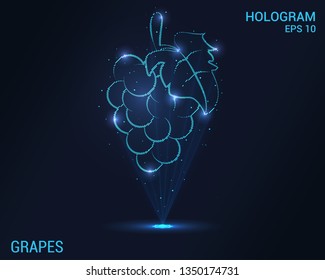 Grape hologram. Digital and technological background of grapes. Futuristic wine design