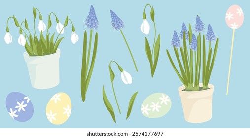 grape hyacinth and snowdrop in pot, blossoming  tree branches, easter eggs, elements for creating  easter  greeting cards, posters and backgrounds