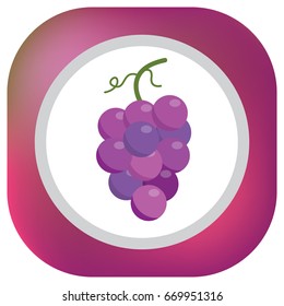 Grape icon