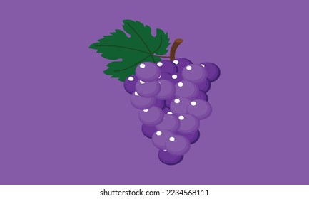 Grape icon background Vector grape fruit 