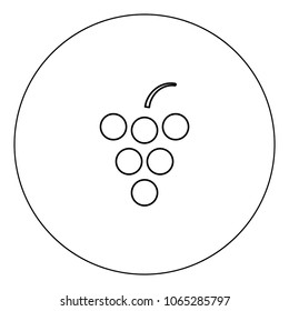 Grape icon black color in circle