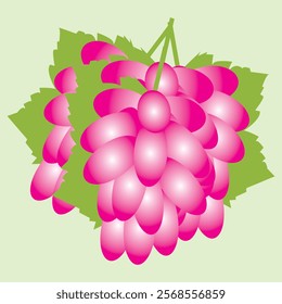 Grape icon Cartoon illustration of grape vector icon for web