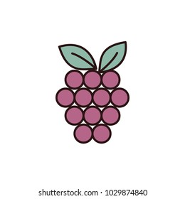 Grape icon in cartoon style. Vector illustration with Grape isolated on white background. cartoon fruit object for web
