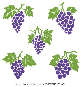 Grape icon color set white background design. silhouette style, vector illustration.