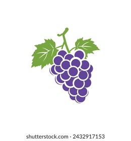 Grape icon color white background design. silhouette style, vector illustration.