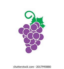 grape icon design illustration template