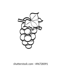 Grape icon in doodle sketch lines. Fruit berry dessert sweet organic