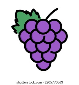 Grape icon. Filled outline design. Grape isolated on white background. For presentation, graphic design, mobile application. Vector Illustration.
