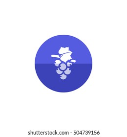 Grape icon in flat color circle style. Fruit berry dessert sweet organic