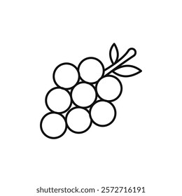 Grape icon flat line symbol set.