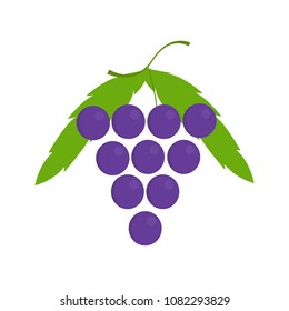 grape icon in flat style isolated vector illustration on white transparent background