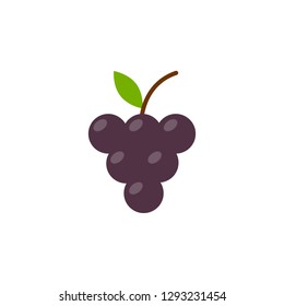 Grape icon in flat style izolated on white background. Vector illustration