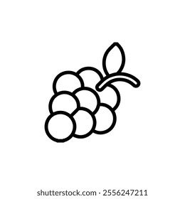 grape icon Flat symbol set outline