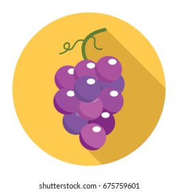 Grape icon. Flat grape icon. Grape vector.