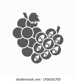 grape icon, fruit vector illustration