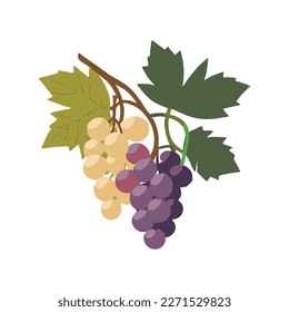 Grape Icon, Grapevine Pictogram, Wine Fruit Symbol, Ripe Grape Bunch Logo, Vector Illustration, White Background