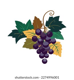Grape Icon, Grapevine Pictogram, Wine Fruit Symbol, Ripe Grape Bunch Logo, Vector Illustration, White Background