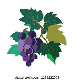 Grape Icon, Grapevine Pictogram, Wine Fruit Symbol, Ripe Grape Bunch Logo, Vector Illustration, White Background