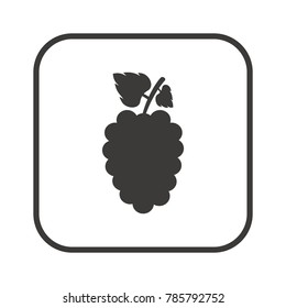 Grape icon, isolated. Flat  design. 