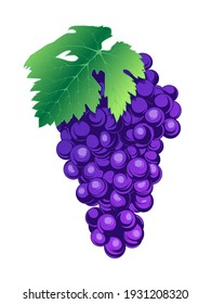 Grape icon isolated on white background. Cluster of dark blue grapes. Isolated on white. Vector illustration.
