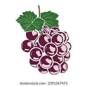 Grape icon with leaves vector, purple fruit illustration isolated on white background, grape logo symbol in flat cartoon style.