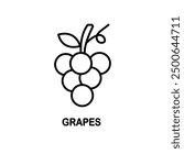 Grape icon. Grape line sign design. Grape symbol vector pictogram.