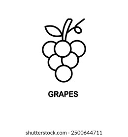 Grape icon. Grape line sign design. Grape symbol vector pictogram.