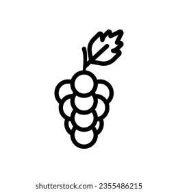 grape icon line style vector