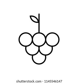 Grape icon. Linear grape icon. Linear grape vector icon. 